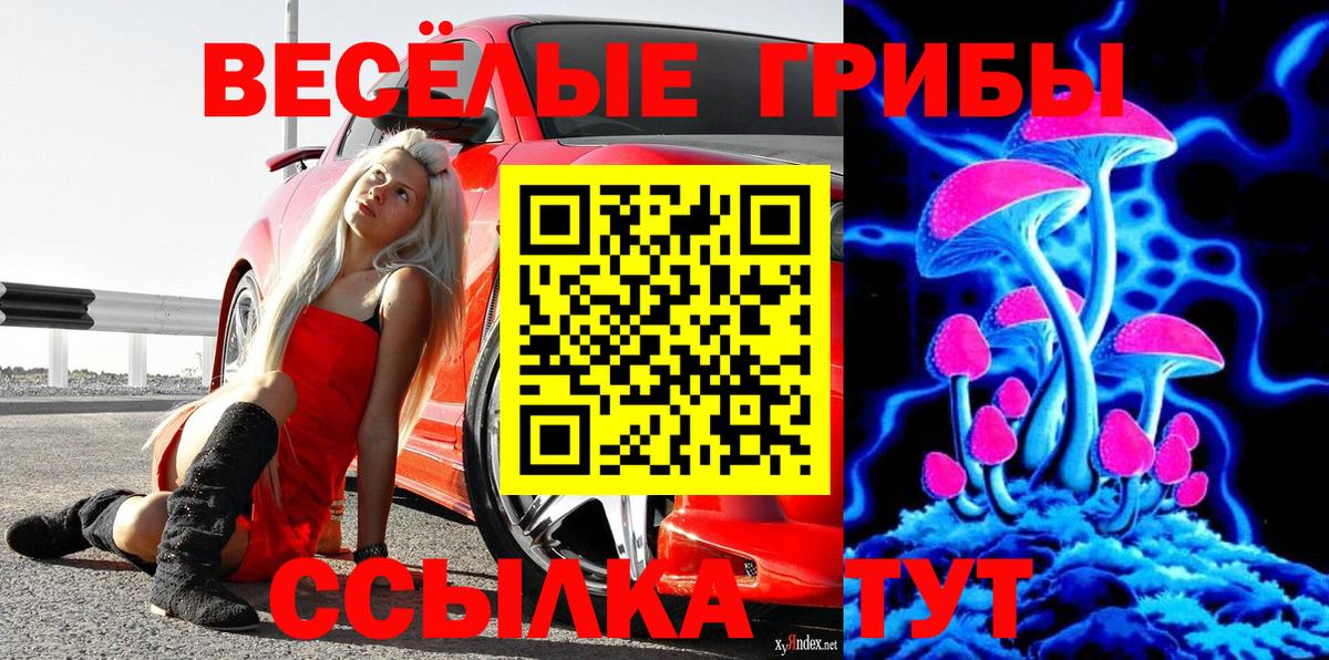Галлюциногенные грибы прущие грибы  Вход с VPN  Ижевск 